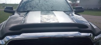 IMG_20231027_155734504 (2).jpg