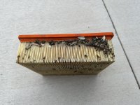 IMG_2833.jpeg IMG_2833.jpeg