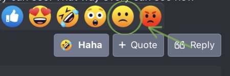 IMG_4028.jpeg IMG_4028.jpeg