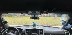 IMG_6619.jpeg IMG_6619.jpeg