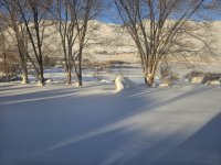 1000009452.jpg 1000009452.jpg