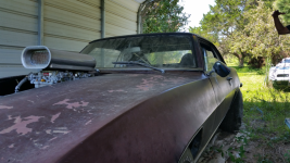 1969 Camaro - 18 years under cover -2.png