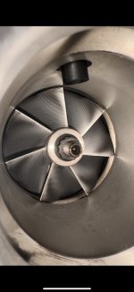 IMG_1734.jpeg