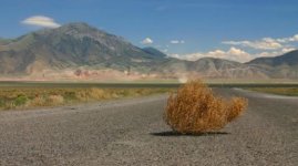 Tumbleweed meme.JPG Tumbleweed meme.JPG