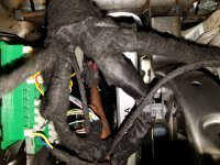 20200502_001144.jpg 20200502_001144.jpg