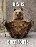 Bear Foot 3.JPG