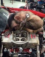 Monkey Wrench.jpg