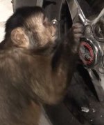 Monkey Mechanic 2.JPG