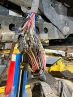 IMG_5153.jpeg IMG_5153.jpeg