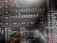 IMG_9400.jpeg