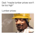 dad-maybe-lumber-prices-wont-be-too-high-lumber-prices-classicdadmoves_a592d4.jpg