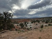 IMG_2625.jpeg