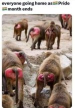 448088752_991543769279200_3336385824431721375_n (1).jpg