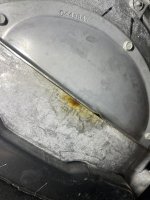 IMG_8150.jpeg IMG_8150.jpeg