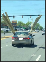 Screenshot 2024-08-02 at 13-29-40 sub-buzz-452-1636494750-17.webp (WEBP Image 600 × 820 pixels).png