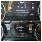 IMG_20240811_074937.jpg IMG_20240811_074937.jpg