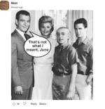 Screenshot 2024-08-18 at 12-37-58 A new robust collection of Top Comments this week.png