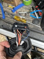 IMG_2593.jpeg IMG_2593.jpeg