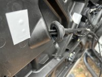 IMG_2582.jpeg IMG_2582.jpeg