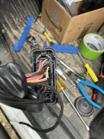 IMG_2587.jpeg IMG_2587.jpeg