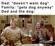 Screenshot 2024-09-06 at 14-31-40 Beer-a-FULL Memes Funny Drinking Friday Pics Stupid Wis-DUMB...png