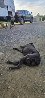 20240622_195031.jpg 20240622_195031.jpg