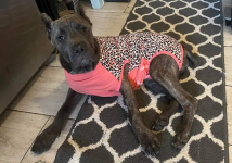 1725885321596.png 1725885321596.png