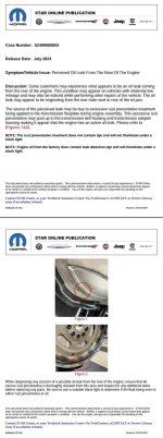 IMG_8175.jpeg IMG_8175.jpeg