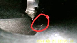 IMG_20241010_155700 (6).jpg