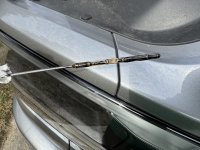 IMG_2818.jpeg IMG_2818.jpeg