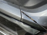 IMG_2819 (1).jpeg IMG_2819 (1).jpeg