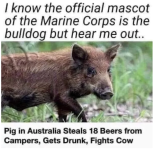 Screenshot 2024-11-10 at 11-28-30 Memes of Dirty Humor and US Marine Corps Brave War Photos 24...png