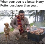 Screenshot 2024-11-08 at 16-48-06 (1) Pure Randomness because F ck Yes it’s Friday! (37 Photos).png