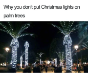 Screenshot 2024-11-13 at 14-07-23 It's.png