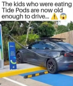 Screenshot 2024-11-12 at 11-40-12 Mind-LESS.png