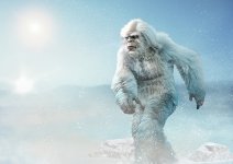 Yeti Image.jpg