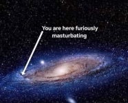 Screenshot 2024-11-16 at 01-30-26 Daily Afternoon Randomness.png