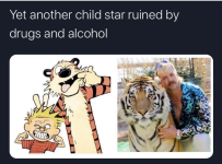 Screenshot 2024-11-22 at 17-39-29 Daily Afternoon Randomness.png