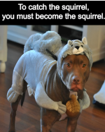 Screenshot 2024-11-26 at 10-41-42 Too.png