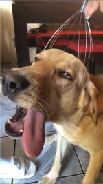 Screenshot 2024-11-29 at 18.png