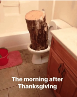 Screenshot 2024-11-29 at 18-56-40 Daily Afternoon Randomness.png