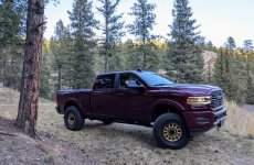 ZomboMeme 22112020154401.jpg