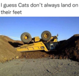 Screenshot 2024-12-25 at 17-57-47 Wis-DUMB Memes of Dumb Random Thoughts Stupid Ideas Nuggets ...png