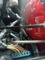 IMG_20240710_075351_462.jpg