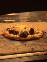 IMG_5182.jpeg