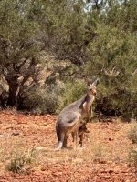 IMG_1504.jpeg