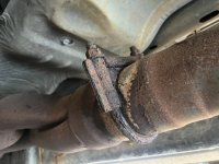 IMG_5004.jpeg IMG_5004.jpeg