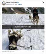 alaskan flat tire comp.JPG