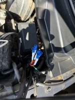 IMG_8449.jpeg IMG_8449.jpeg