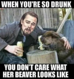 Screenshot 2025-03-14 at 15-08-45 Beer-a-FULL Memes Funny Drinking Friday of Stupid Wis-DUMB T...png